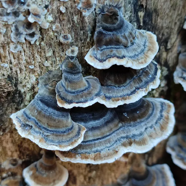 Wanderungen Wanderungen